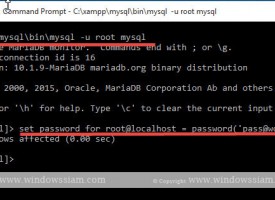 วิธีการตั้ง Password Root phpmyadmin
