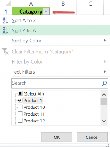 Filter-Excel2013-4