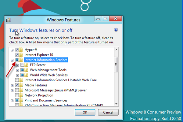 IIS-Windows8-2