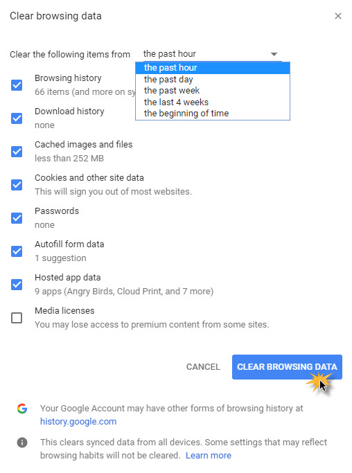 Clear History Google Chrome3