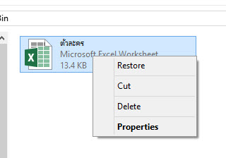 Recycle-Bin-Windows-2
