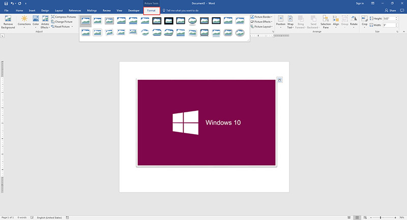 Picture-Microsoft Word 2016